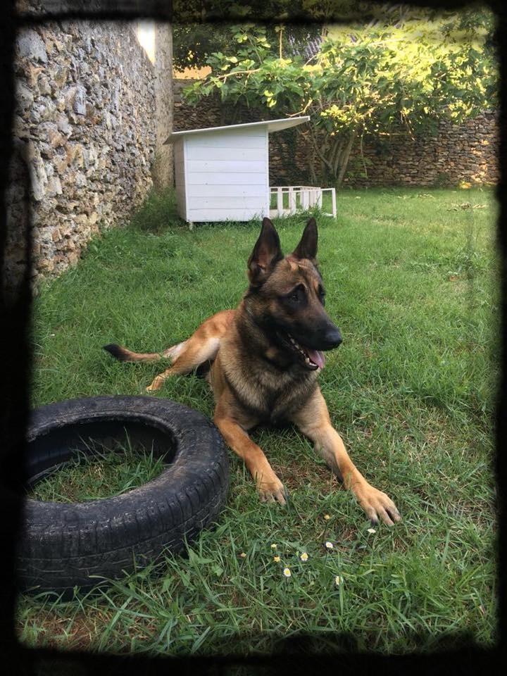 Navy seal des terres d'arès : compagnie